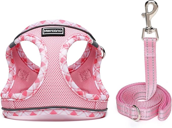 Mercano Soft Mesh Dog Harness and Leash Set, No-Chock Step-in Reflective Breathable Lightweight Easy Walk Vest Harnesses with Safety Buckle for Small Dogs, Cats (Pink, M)