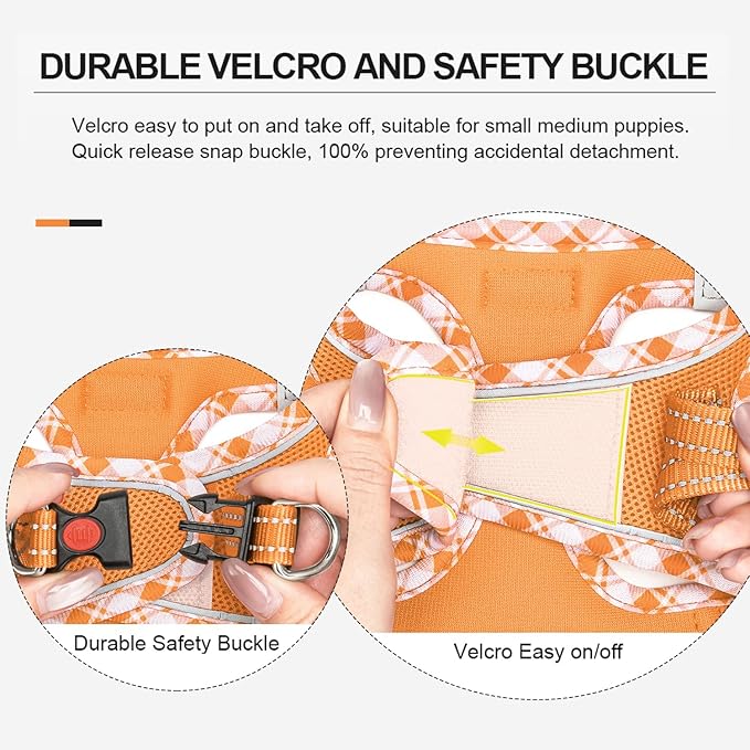 Mercano Soft Mesh Dog Harness and Leash Set, No-Chock Step-in Reflective Breathable Lightweight Easy Walk Vest Harnesses with Safety Buckle for Small Dogs, Cats (Orange, XXS)