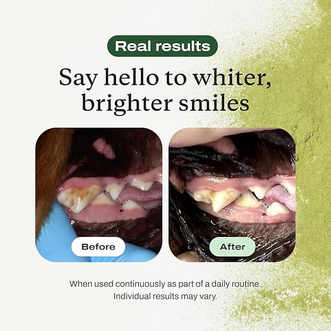 PetLab Co. ProBright Dental Powder - Dog Breath Freshener - Teeth Cleaning Made Easy – Targets Tartar & Bad Breath - Formulated for Extra Small Dogs - Packaging May Vary