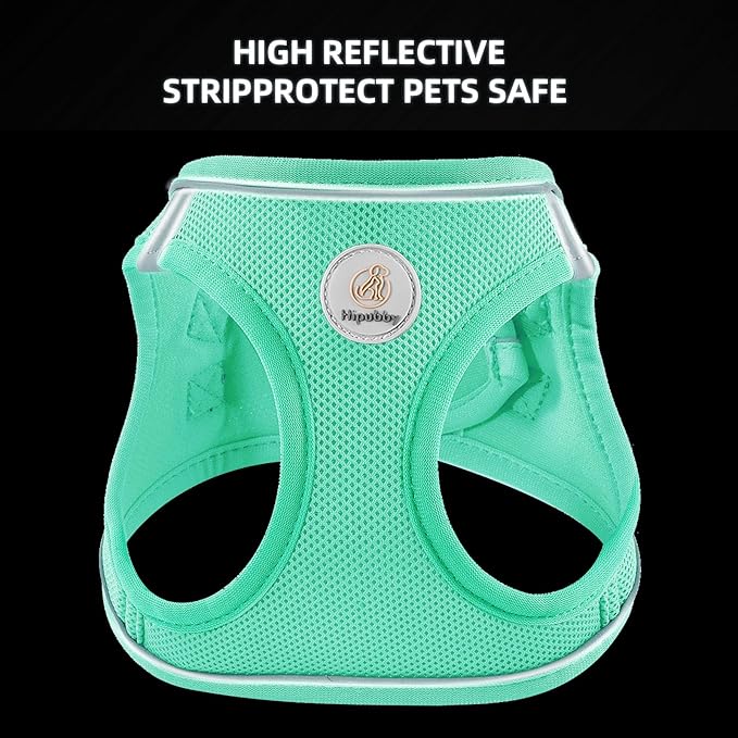 Dog Harness and Leash Set, No Pull Soft Mesh Puppy Harness for Small Medium Dogs, Cats - Step in Reflective Breathable Lightweight Vest Harness for Walking, Training - Green, S
