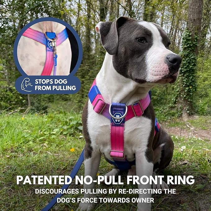 Spark Paws No Pull Dog Harness for Large Dogs, Heavy Duty Dog Harness for Big Strong Breeds, Adjustable, Y Shaped Padded Halter Design with Front Clip - Snow Cone - L