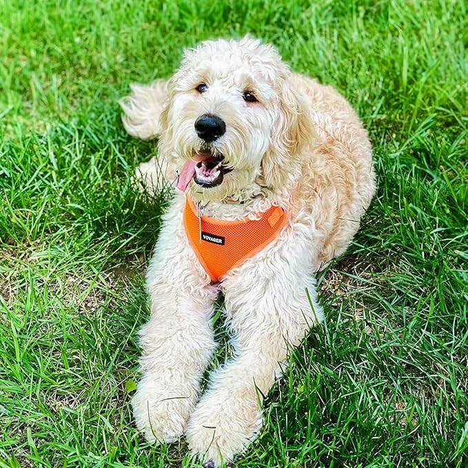 Voyager Step-in Pet Harness - All Weather Mesh, Adjustable Step in Harness for Cats and Dogs by Best Pet Supplies - Orange, XL