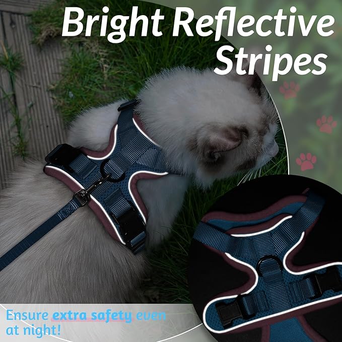 rabbitgoo Cat Harness and Leash for Walking, Escape Proof Soft Adjustable Vest Harnesses for Cats, Easy Control Breathable Reflective Strips Jacket, Light Blue&Pink, S