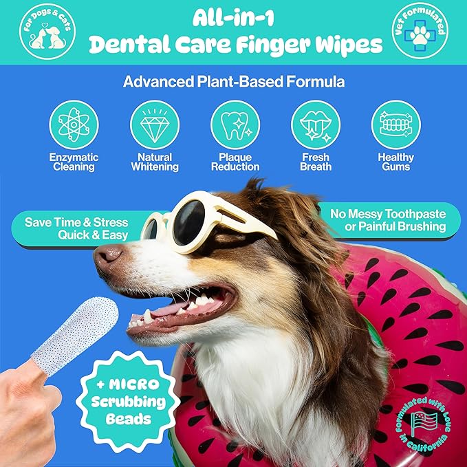 All-in-1 Dog Teeth Cleaning Wipes | Enzymatic Whitening + Micro Scrubbing Beads | No Mess, Pet Dental Wipes & Finger Tooth Brushing Kit | Plant-Based Dental Care for Cats & Dogs (60 Count)