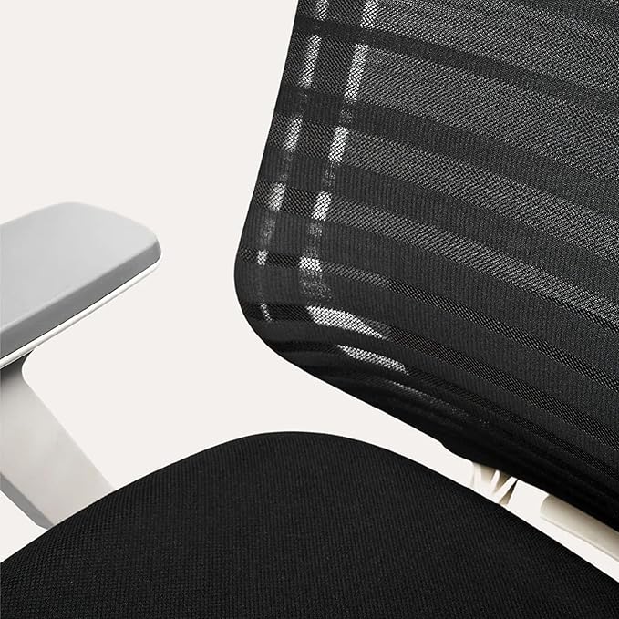 Branch Ergonomic Chair - A Versatile Desk Chair with Adjustable Lumbar Support, Breathable Mesh Backrest, and Smooth Wheels - Experience Optimal Comfort and Support - Poppy