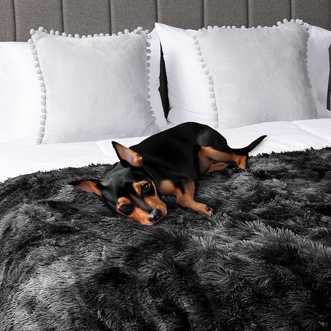 PetAmi Waterproof Dog Blanket for Small Medium Dogs, Calming Fleece Cat Blanket, Couch Protector Washable Sherpa Faux Fur Pet Throw for Puppy, Soft Reversible 29x40 Tie-Dye Black