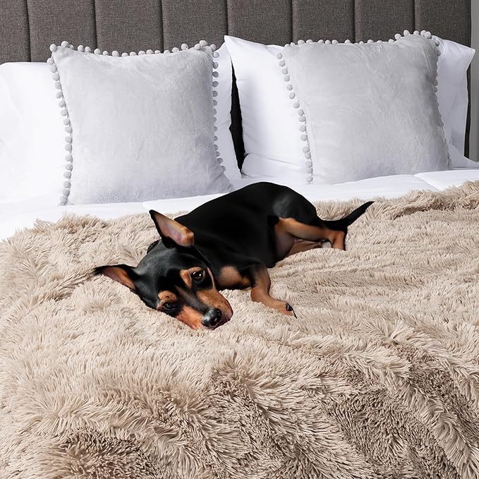 PetAmi Waterproof Dog Blanket for Small Medium Dogs, Calming Fleece Cat Blanket, Couch Protector Washable Sherpa Faux Fur Pet Throw for Puppy, Soft Reversible 29x40 Taupe
