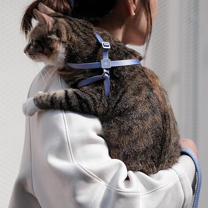 Cat Harness and Leash 2-in-1, Escape Proof Anti-Chocking Harness Adjustable Lighweight Leash for Walking Outoor Training for Kitten Small Large Cats Puppy, US IDA Bronze Award (Linen)