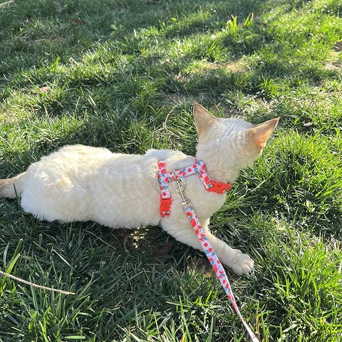 azuza Cat Harness and Leash Set for Safe Walking and Travel, Escape Proof Cat Harness, Lightweight Soft and Comfortable, Adjustable Kitten Harness for Small Medium Large Cats, Red Geometry