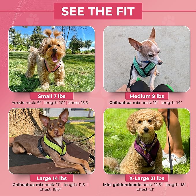 Gooby Comfort X Head In Harness - Flamingo Pink, Medium - No Pull Small Dog Harness Patented Choke-Free X Frame - On the Go Dog Harness for Medium Dogs No Pull or Small Dogs for Indoor and Outdoor Use