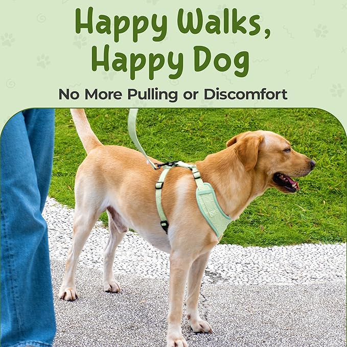 No Pull Puppy Harness and Leash Set – No Choke Neoprene Dog Harness for Large Dogs (40–60lbs), Green(L), Lightweight Breathable Mesh with Unique Heart Pattern, Adjustable Fit