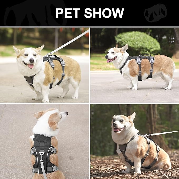 Escape Proof Dog Harness with Handle - Reflective No Pull Dog Vest, Lightweight Full Body Pet Harness Adjustable for Small Dogs Walking,Training(Blue,Chest:14-22")