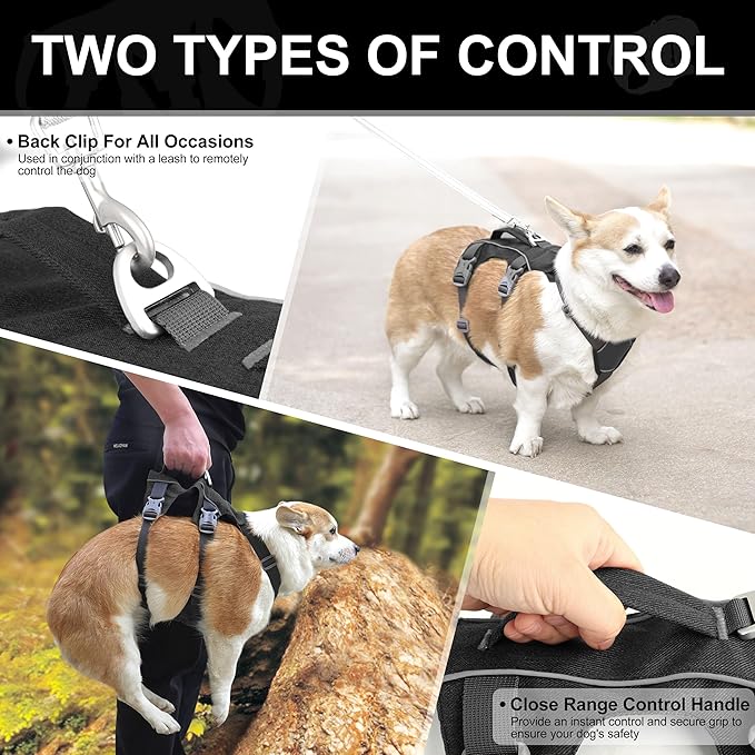 Escape Proof Dog Harness with Handle - Reflective No Pull Dog Vest, Lightweight Full Body Pet Harness Adjustable for Small Dogs Walking,Training(Blue,Chest:14-22")