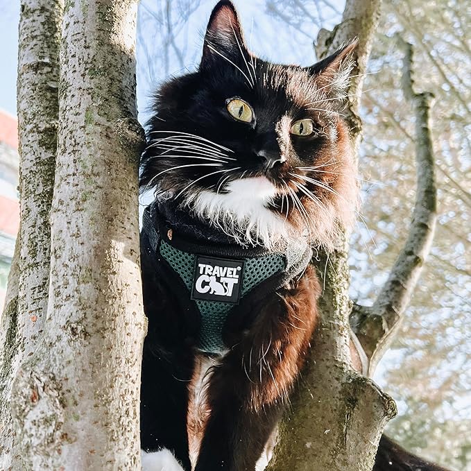 Travel Cat The Emerald Explorer Limited Edition Green Harness and Leash Set - Adjustable Fit Mesh Cat Harness with Reflective Strap - Escape Proof Harness for Cats, Kitten (Medium)
