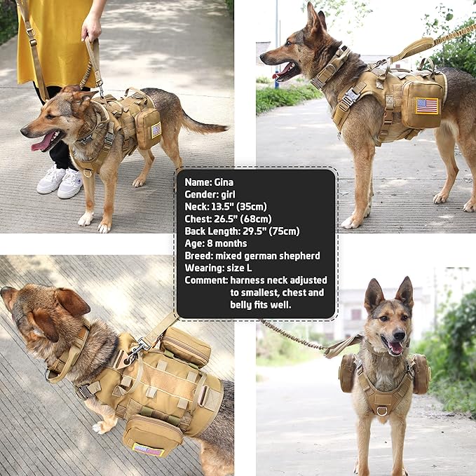 Forestpaw Tactical Dog Harness for Large Dogs,Tactical Dog Collar with Bungee Leash Set,No Pull Military Dog Harness for Walking Training,Adjustable for Medium Large Dogs,Khaki,Chest 19.5-41.5"