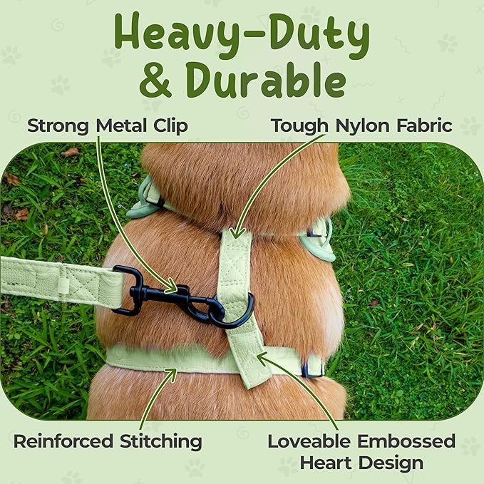 No Pull Puppy Harness and Leash Set – No Choke Neoprene Dog Harness for Large Dogs (40–60lbs), Green(L), Lightweight Breathable Mesh with Unique Heart Pattern, Adjustable Fit