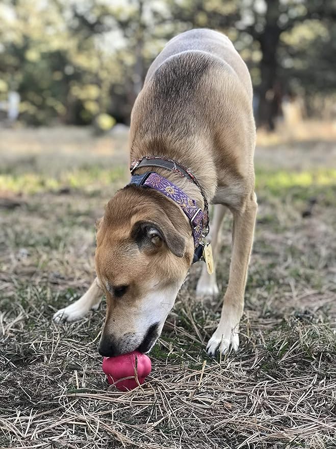 SodaPup MuttsKickButt Cupcake – Durable Dog Treat Dispenser & Chew Toy Made in USA from Non-Toxic, Pet Safe, Food Safe Natural Rubber for Mental Stimulation, Problem Chewing, Calming Nerves & More