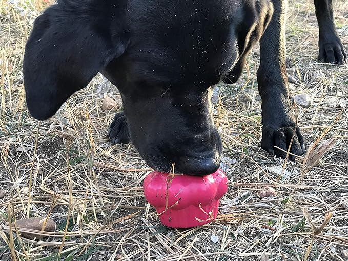 SodaPup MuttsKickButt Cupcake – Durable Dog Treat Dispenser & Chew Toy Made in USA from Non-Toxic, Pet Safe, Food Safe Natural Rubber for Mental Stimulation, Problem Chewing, Calming Nerves & More
