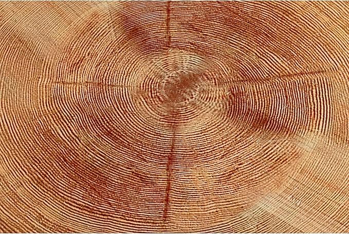 COZAYH 2-Piece Modern Farmhouse Living Room Coffee Table Set, Nesting Table Round Natural Finish with Handcrafted Wood Ring Motif, Light Red + Wood Color