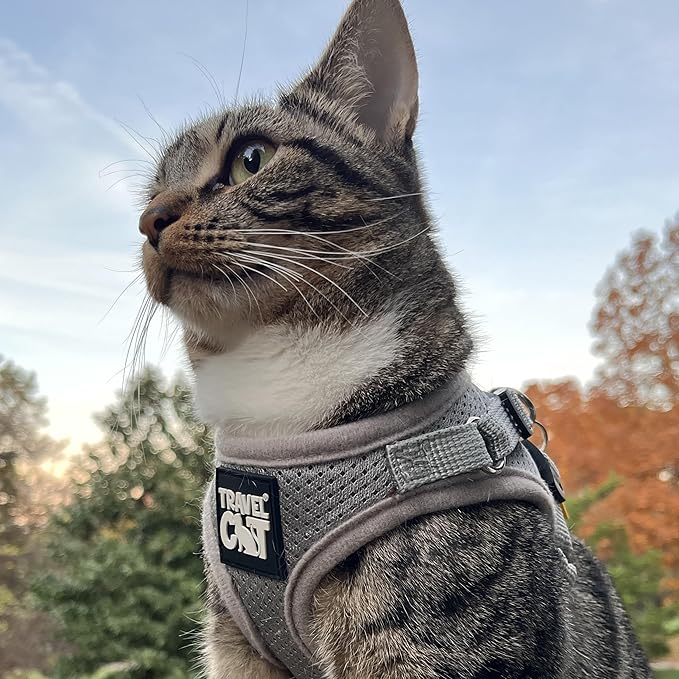 Travel Cat Harness and Leash Set - Adjustable Fit Mesh Cat Harness and Reflective Strap - Comfort Walking Vest for Kitten for Outdoor Walking, Hiking (Extra Small, Grey)