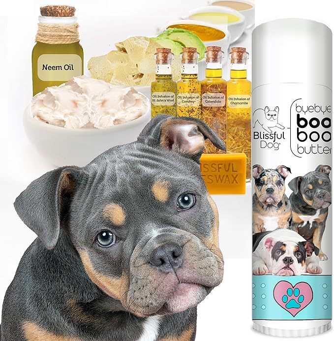 The Blissful Dog .50 oz Tube Olde ENGLISHE Bulldogge Booboo Butter