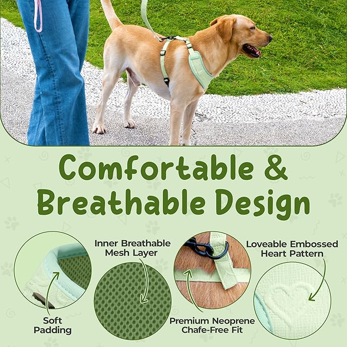 No Pull Puppy Harness and Leash Set – No Choke Neoprene Dog Harness for Large Dogs (40–60lbs), Green(L), Lightweight Breathable Mesh with Unique Heart Pattern, Adjustable Fit