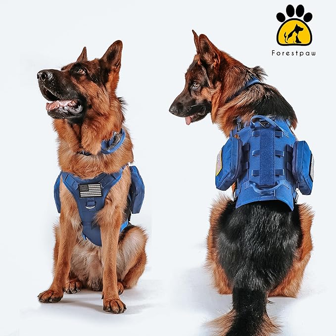 Forestpaw Tactical Dog Harness for Large Dogs,Tactical Dog Collar with Bungee Leash Set,No Pull Military Dog Harness for Walking Training,Adjustable for Medium Large Dogs,Blue,Chest 15.5-25.5"