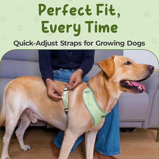 No Pull Puppy Harness and Leash Set – No Choke Neoprene Dog Harness for Large Dogs (40–60lbs), Green(L), Lightweight Breathable Mesh with Unique Heart Pattern, Adjustable Fit