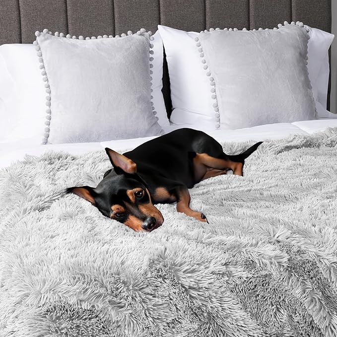 PetAmi Waterproof Dog Blanket for Small Medium Dogs, Calming Fleece Cat Blanket, Couch Protector Washable Sherpa Faux Fur Pet Throw for Puppy, Soft Reversible 29x40 Light Gray