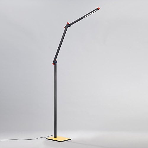 Balance LED Floor Lamp in Multicolored