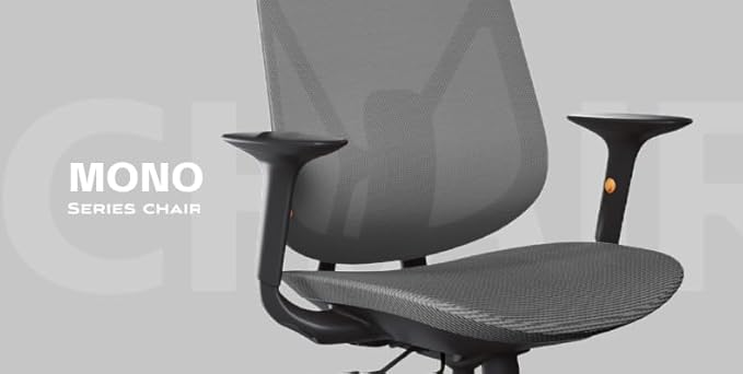 Mesh Office Chair – Ergonomic Office Chair with Lumbar Support, Adjustable Armrests & Sliding Soft Seat Cushion – Holds Up to 270lbs (Grey)