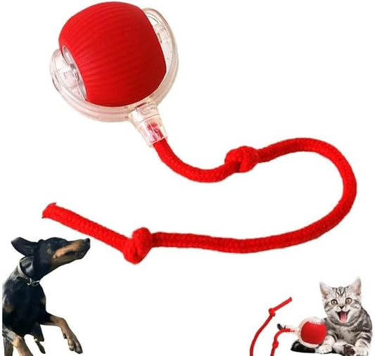 Pet Automatic Ball [for Small Dogs & Cats] - Activated Automatic Moving Toy, Rechargeable, Self Play, Ball Toy with Long Tail Teaser
