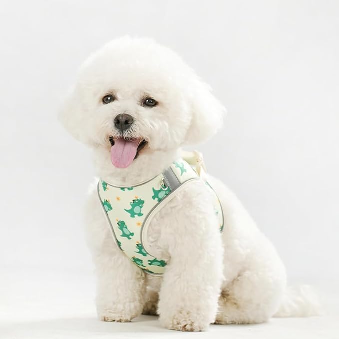Step in Dog Harness and Leash Set, Flower Adjustable Easy Walk Puppy Harnesses, Soft Mesh No Pull Pet Vest Harness for Small Dogs and Cats(Beige, XS)