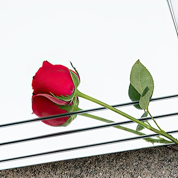 Shatterproof Acrylic Mirror Tiles, 12 Pack 12x12 Inch Self-Adhesive Full Body Wall Mirrors for Bedroom, Home Gym, Bathroom & Living Room, Unbreakable Flexible Mirror Sheets