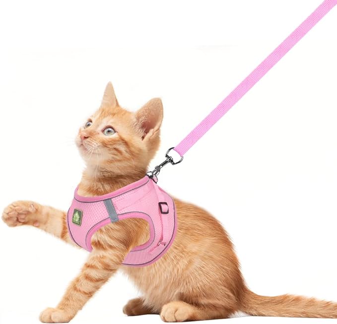 FEimaX Dog Harness and Leash Set, No Pull Breathable Soft Mesh Puppy Vest Harness Reflective Adjustable Pet Harnesses for Small Medium Dogs and Cats - Outdoor Easy Control for Walking