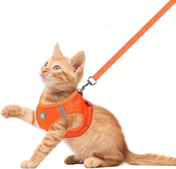FEimaX Dog Harness and Leash Set, No Pull Breathable Soft Mesh Puppy Vest Harness Reflective Adjustable Pet Harnesses for Small Medium Dogs and Cats - Outdoor Easy Control for Walking