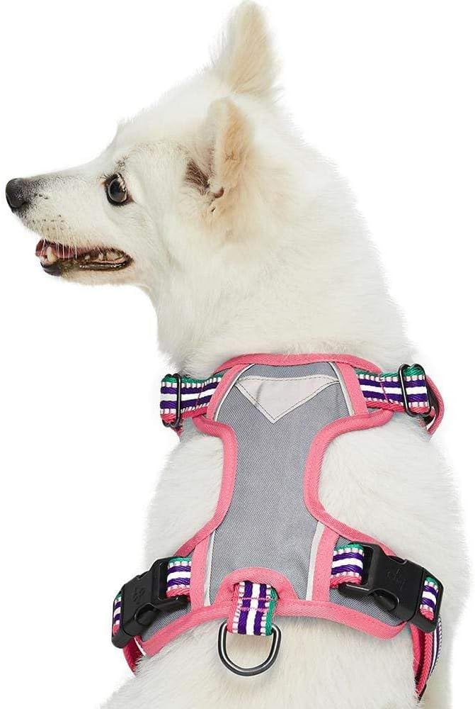 Blueberry Pet Soft 3M Reflective Dog Harness Vest | Mesh Padded No-Pull Harness with Back Clips | Multicolor Stripe in Pink, Emerald and Orchid| Adjustable for Small Dogs