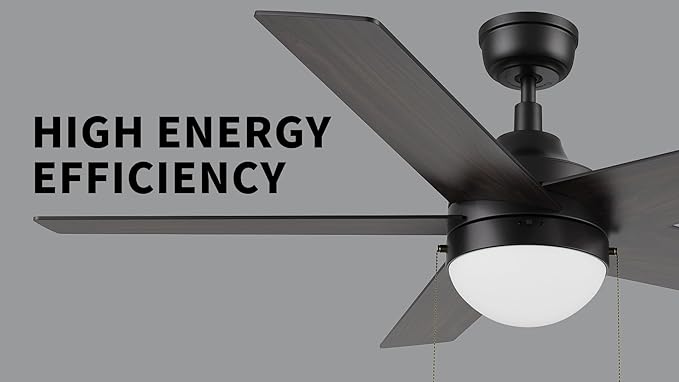 CEME 52" Ceiling Fan with Light Low Profile, DC 5 Speeds Silent Ceiling Fan with Remote, 5 Dual Finish Blades, 3 Light Colors Dimmable LED for Bedroom Room, Black