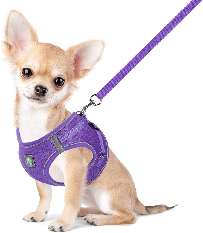FEimaX Dog Harness and Leash Set, No-Pull Breathable Soft Mesh Puppy Vest Harness Reflective Adjustable Pet Harnesses for Small Medium Dogs and Cats - Outdoor Easy Control for Walking (XS, Purple)