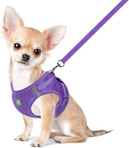 FEimaX Dog Harness and Leash Set, No-Pull Breathable Soft Mesh Puppy Vest Harness Reflective Adjustable Pet Harnesses for Small Medium Dogs and Cats - Outdoor Easy Control for Walking (XS, Purple)