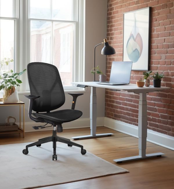 Mesh Office Chair – Ergonomic Office Chair with Lumbar Support, Adjustable Armrests & Sliding Soft Seat Cushion – Holds Up to 270lbs (Black)