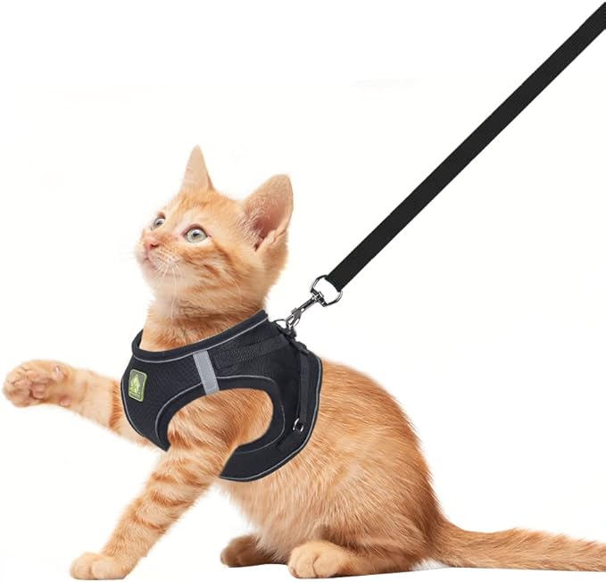 FEimaX Dog Harness and Leash Set, No Pull Breathable Soft Mesh Puppy Vest Harness Reflective Adjustable Pet Harnesses for Small Medium Dogs and Cats - Outdoor Easy Control for Walking