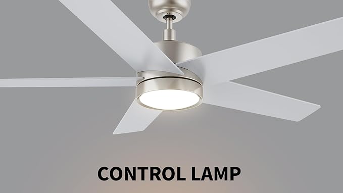 CEME 52" Ceiling Fan with Light Low Profile, DC 5 Speeds Silent Ceiling Fan with Remote, 3 Light Colors Dimmable LED, for Bedroom Room, Silver