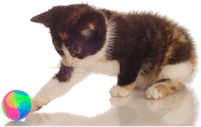 FineInno 2Pcs Light Up Dog Balls,LED Dog Ball,Glow in The Dark Dog Ball,Flashing Elastic Pet Toys for Puppy, Cats, Dogs