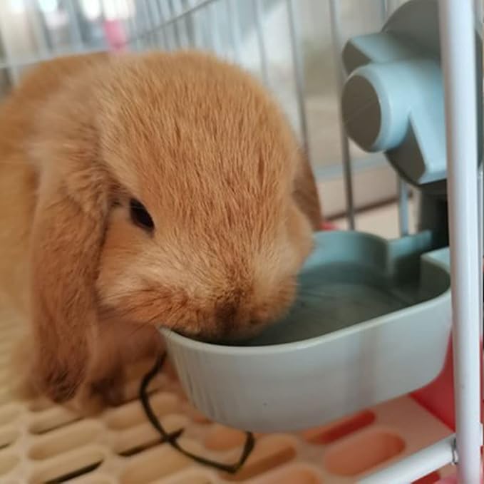 17oz No Leak Rabbit Waterer Feeder, No Drip Water Feeder Water Bowl for Guinea Pig Hamster Chinchilla Ferret Small Animal