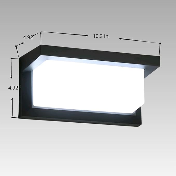 Wrasse Outdoor Wall Sconces Light 2000 Lumen 20W Wall Proch Lights 6500K Exterior Lighting fixtures120V Modern Mount Sconce Lamp for House Outside