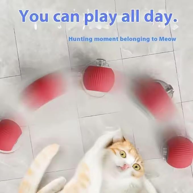 Cat/Dog Interactive Ball - Rechargeable, Motion Chase Toy, Self-Moving Kitten Toy for Indoor Playing, Fast on Carpet