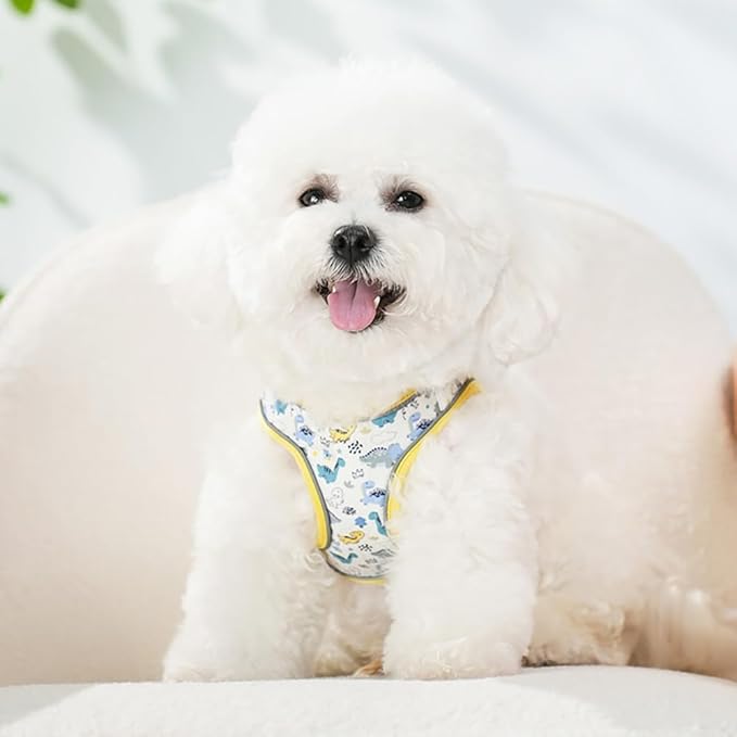 Step in Dog Harness and Leash Set, Flower Adjustable Easy Walk Puppy Harnesses, Soft Mesh Pet Vest Harness Small Size Dog Adjustable No Pull Dog Harness for Small Dogs and Cats(Dinosaur, XS)