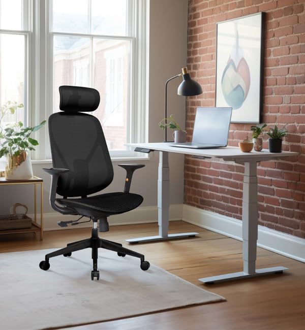 Mesh Office Chair – Ergonomic Office Chair with Lumbar Support, 3D Adjustable Headrest & Sliding Soft Seat Cushion – Holds Up to 270lbs (Black)