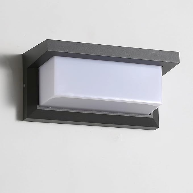 Wrasse Outdoor Wall Sconces Light 2000 Lumen 20W Wall Proch Lights 6500K Exterior Lighting fixtures120V Modern Mount Sconce Lamp for House Outside